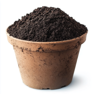 sgtwhiskypaul_potting_soil_--v_6.1_28a8194e-c5f4-46d4-a0dc-6ae3c3d93e69_2